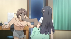 Seishun Buta Yarou wa Bunny Girl Senpai no Yume wo Minai Picture Drama - My  Anime Shelf