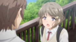 Seishun Buta Yarou wa Bunny Girl Senpai no Yume wo Minai Picture Drama - My  Anime Shelf